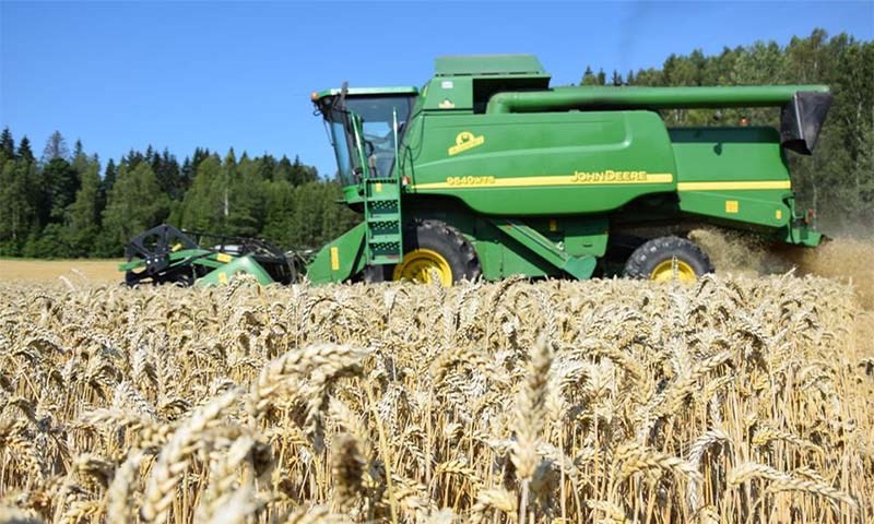 Varsler kraftig økning i proteintillegget på hvete