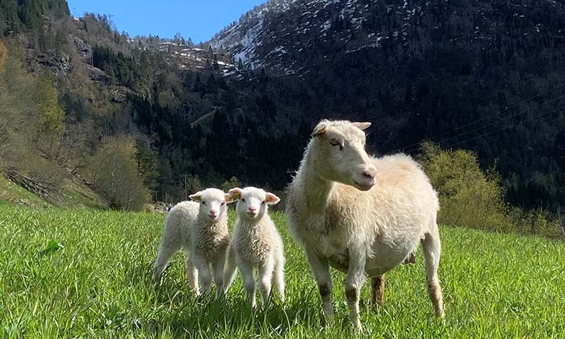 En god start er lønnsomt