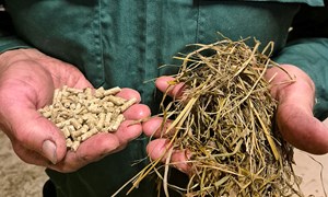 Rekordhøyt forholdstall: Bruk rådgivning for å øke mjølkeproduksjonen