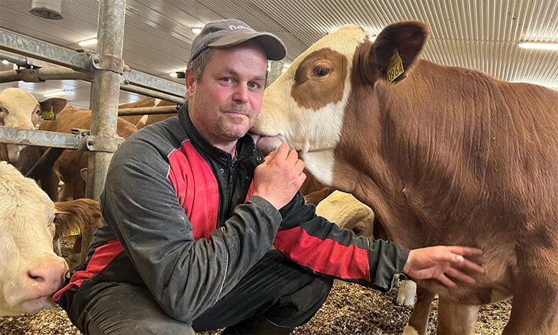 Ammeku - det er en livsstil