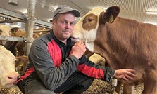 Ammeku - det er en livsstil