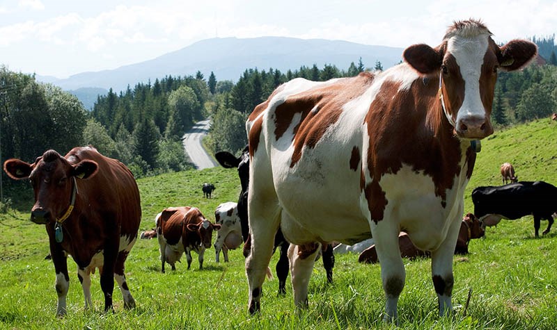 Viktigere enn noen gang å være klar til sesong