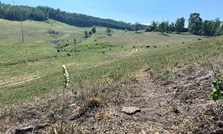 Tiltak ved grovfôrmangel