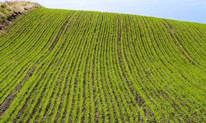 Nye plantevernprodukter og endringer 2025