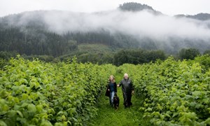 Bærekraft handler om økonomi