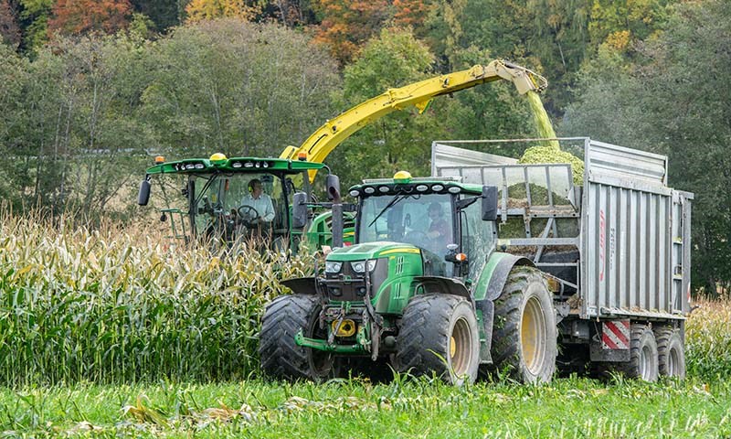 Snitter-data gir kontroll på fôrkostnadene  