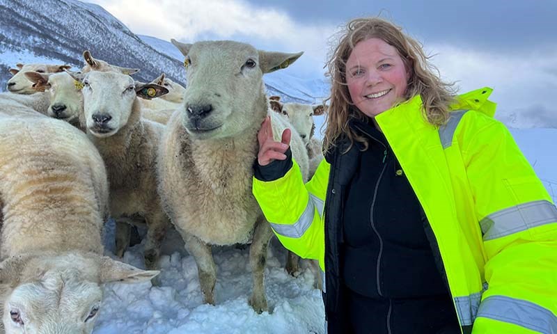 - Hils på Sekketrollet