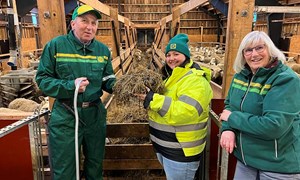 Utnytt potensialene med tilskuddsfôr 