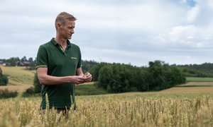 Felleskjøpet Agri med omsetningsvekst i tredje kvartal