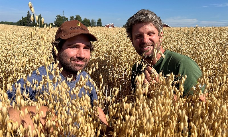 Gode erfaringer fra havreåret 2022