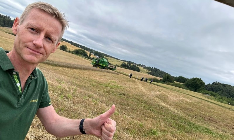 Tommel opp for avlinga