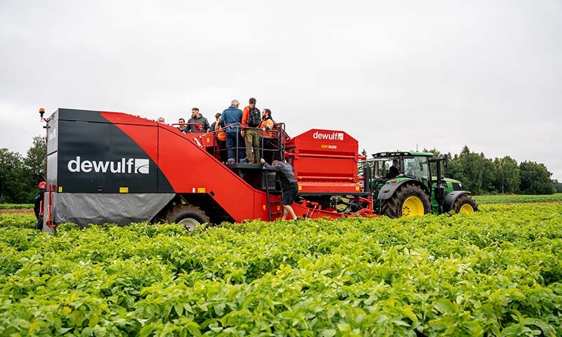 Dewulf var en het potet under Potato Scandinavia