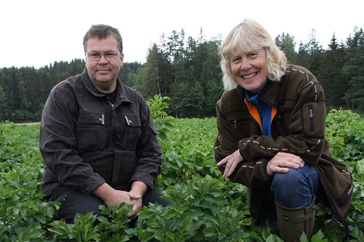 Betaler poteten for bladgjødsel og biostimulanter?