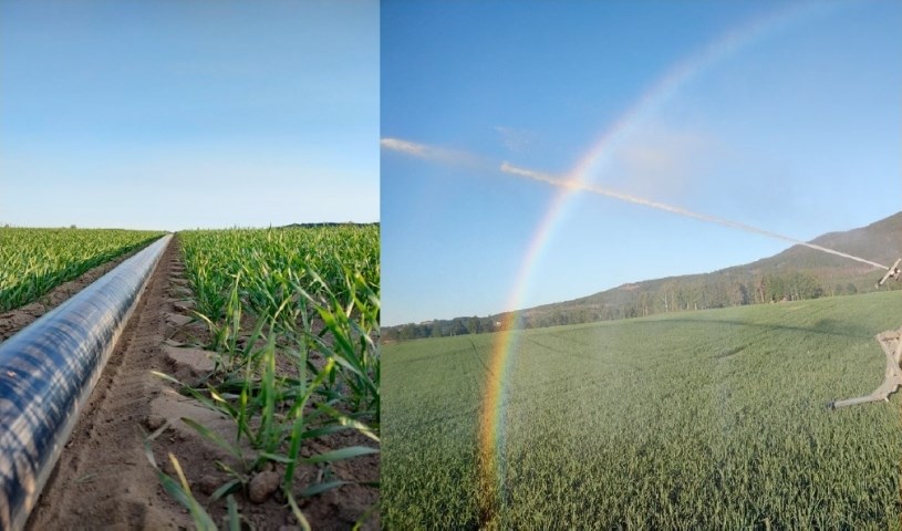Vanningsrør og vanningsvogn med regnbue
