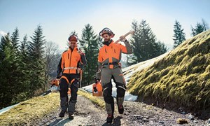 Sikker bruk av motorsag