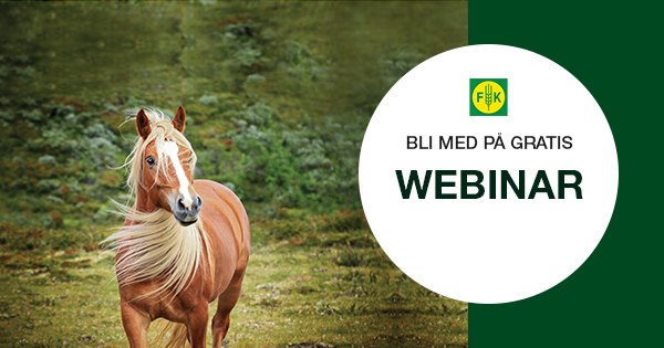 Webinar den noysomme hesten.jpg