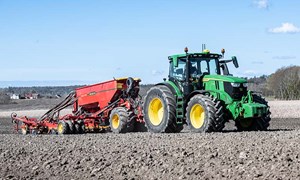 Høsthvete på direkten?