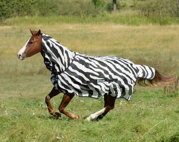 Hvorfor går hestene med dekken som likner på sebra om sommeren?