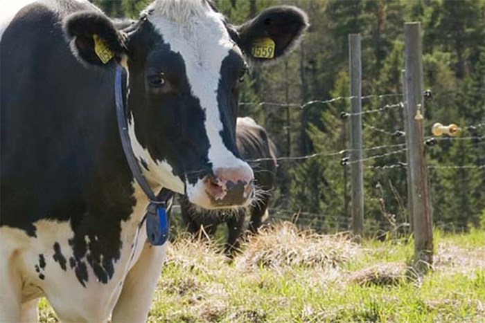 Slik velger du ditt strømgjerde