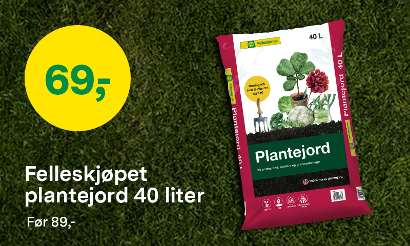 Felleskjøpet plantejord før 89 kr nå 69 kr