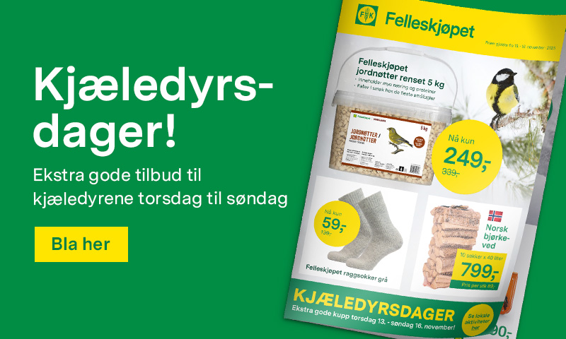 Klikk her for å bla i kundeavisen