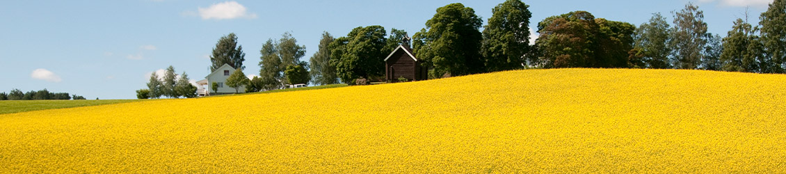 1130x250-blomstereng.jpg