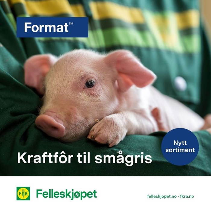 Format - kraftfôr til smågris
