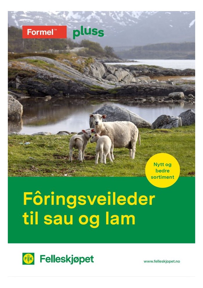 Fôringsveileder til sau og lam