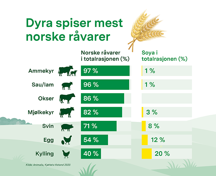 720x586 Dyra spiser mest norske råvarer.png