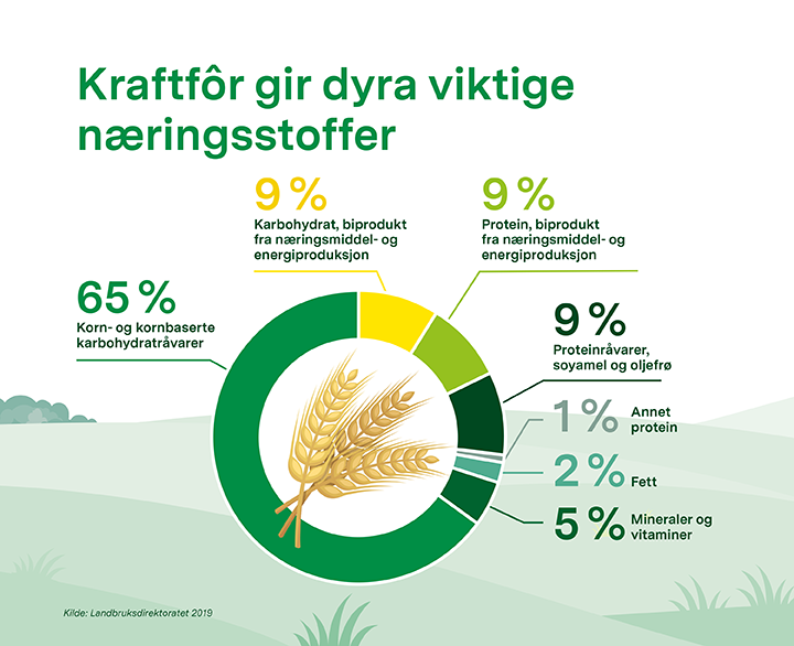 720x586 Kraftfor gir dyra viktige næringsstoffer.png