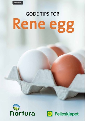 Gode tips til rene egg