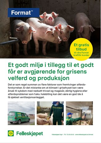Et godt miljø i tillegg til et godt fôr er avgjørende for grisens velferd og produksjon