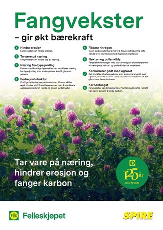 Fangvekster