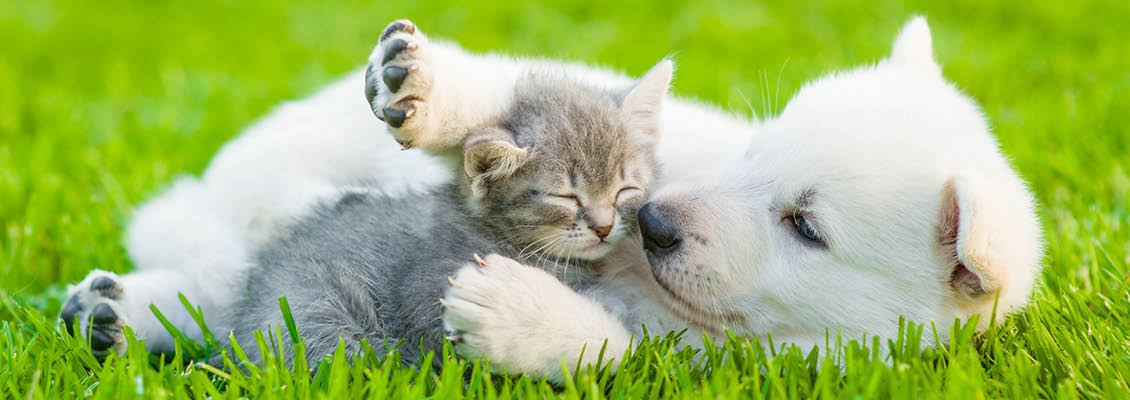 featured-image