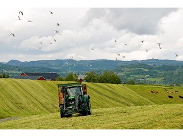 Traktor på eng. Gras-slått. Foto