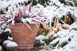 Hagearbeid i november og desember