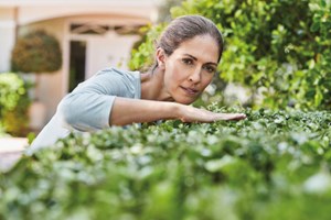 Slik klipper du hekken fin