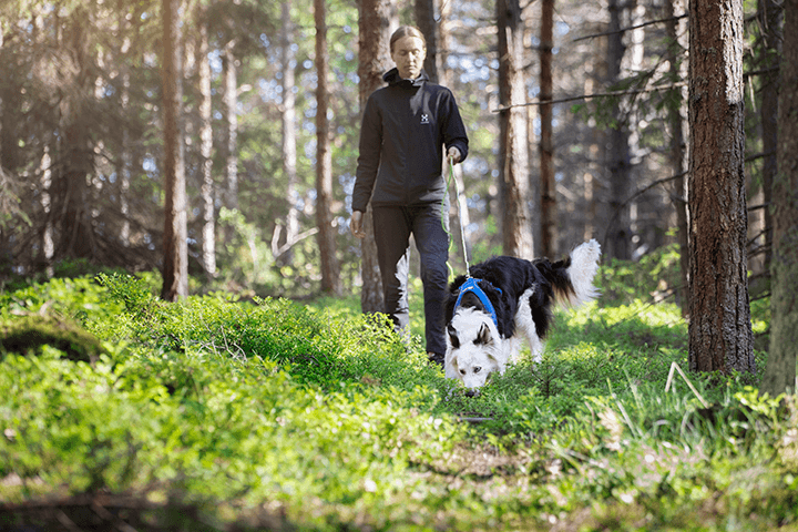 Hund og eier på tur i skog