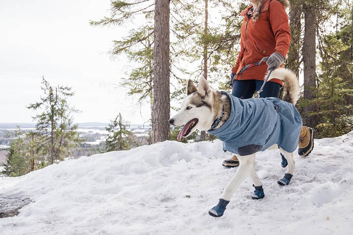 Hvilken type hundedekken skal jeg velge?
