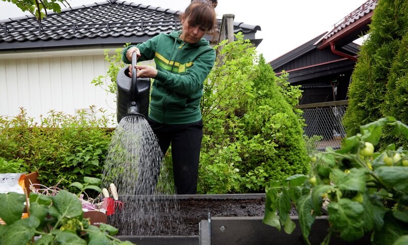 7 effektive metoder for vannsparing i hagen