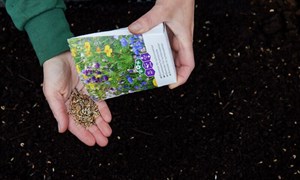 Slik gjør du hagen din mer klimavennlig