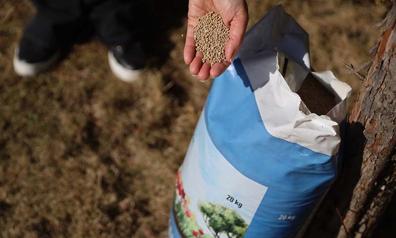 Nærbilde av vått gress