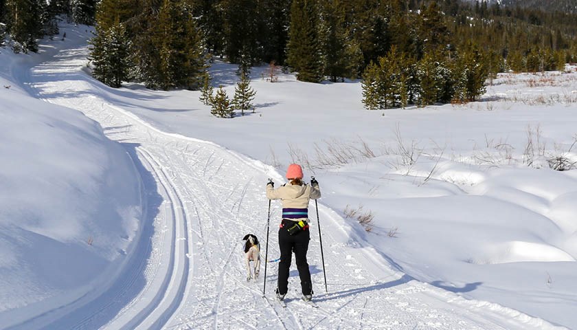 Dame og hund på ski