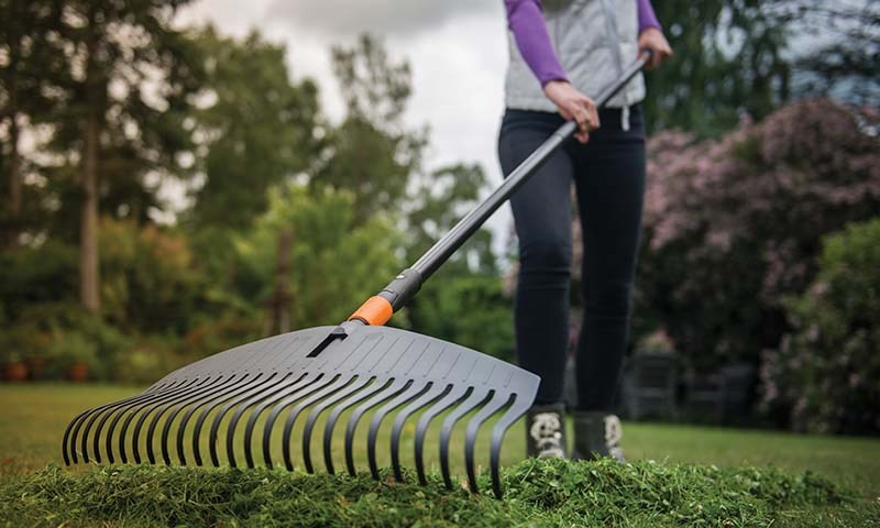 Avbildet: Gress, bark og spirende blomster