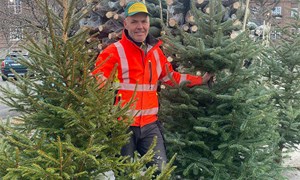 Slik holder du juletreet grønt hele jula