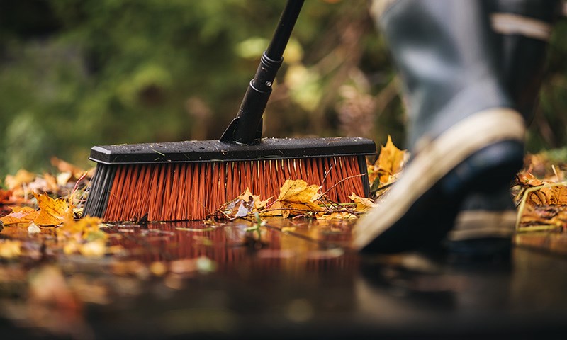 Kost som koster løv