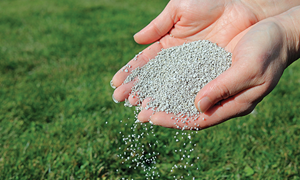 Hvorfor kalke i hagen?