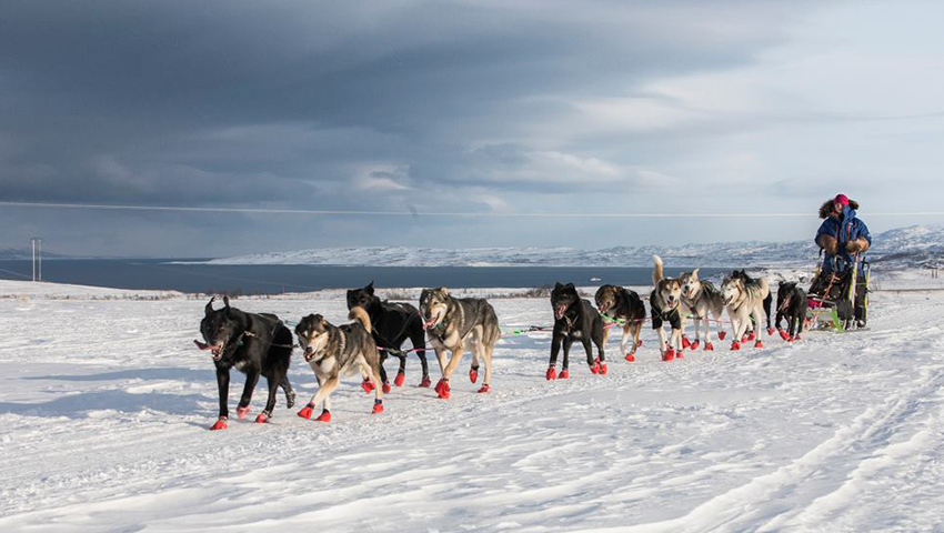 Foto: Steinar Vik/Finnmarksløpet