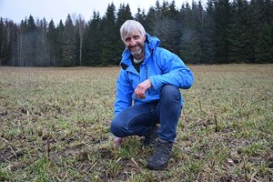 Planteprodusent uten plog