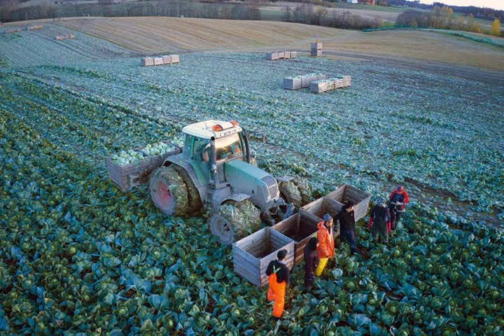 Unngå å stresse plantene